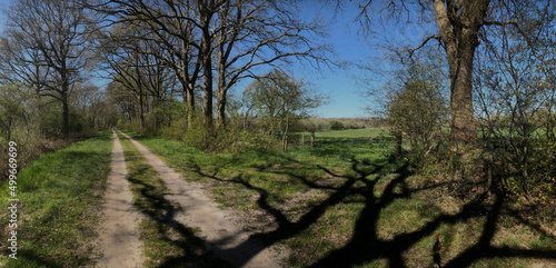 Countryroad. Dirtroad. Countryside. Uffelte. Drente. Netherlands.