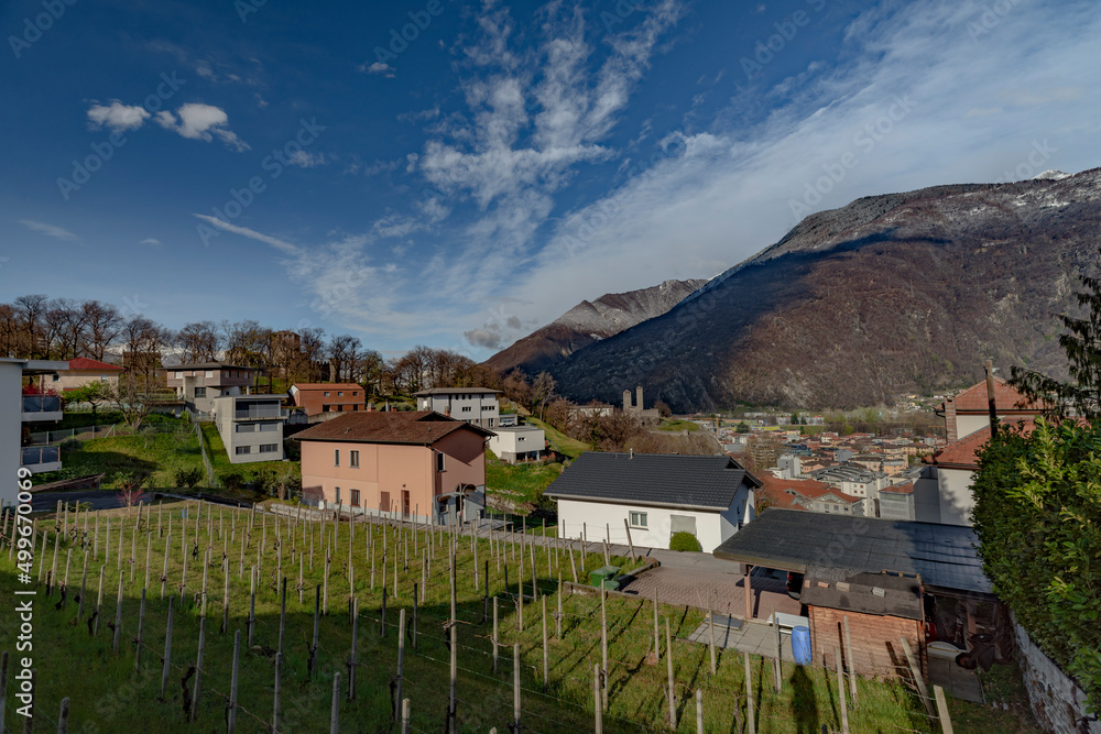 Bellinzona city from high hill over in spring color fresh morning