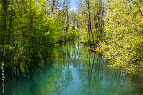 Frühlingsidylle im Grand Ried im Elsass