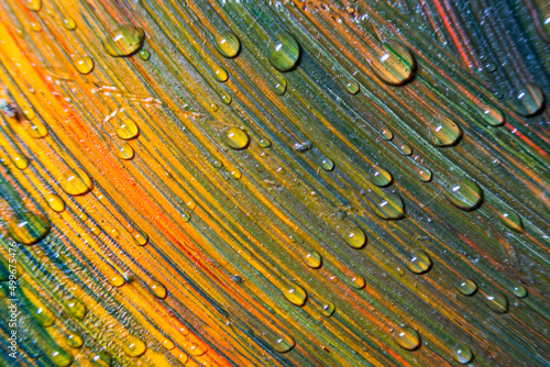 Colorful multicolored paints are covered with water drops. Multicolor abstraction. Fantastic hypnotic surface. Abstract pattern close-up, movement of liquid paint texture with water drops. Selective