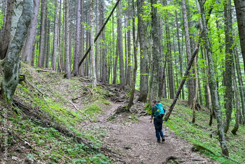 Woman on a hiking trail in the lush green dense forest in the Hochschwab Mountain Region in Styria, Austrian Alps. Forest walk and bathing in the Alps in Europe. Breathing fresh woodland air