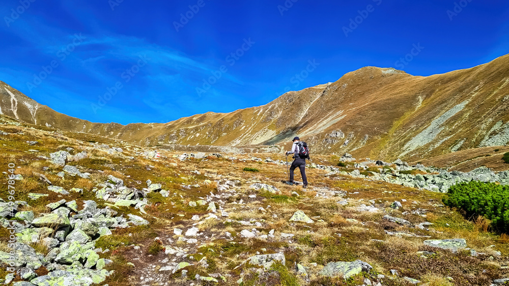 Man with backpack on hiking trail leading to Seckauer Zinken in the Lower Tauern mountain range, Styria, Austria, Europe. Sunny golden autumn day in Seckau Alps. Panorama on dry, bare grass terrain