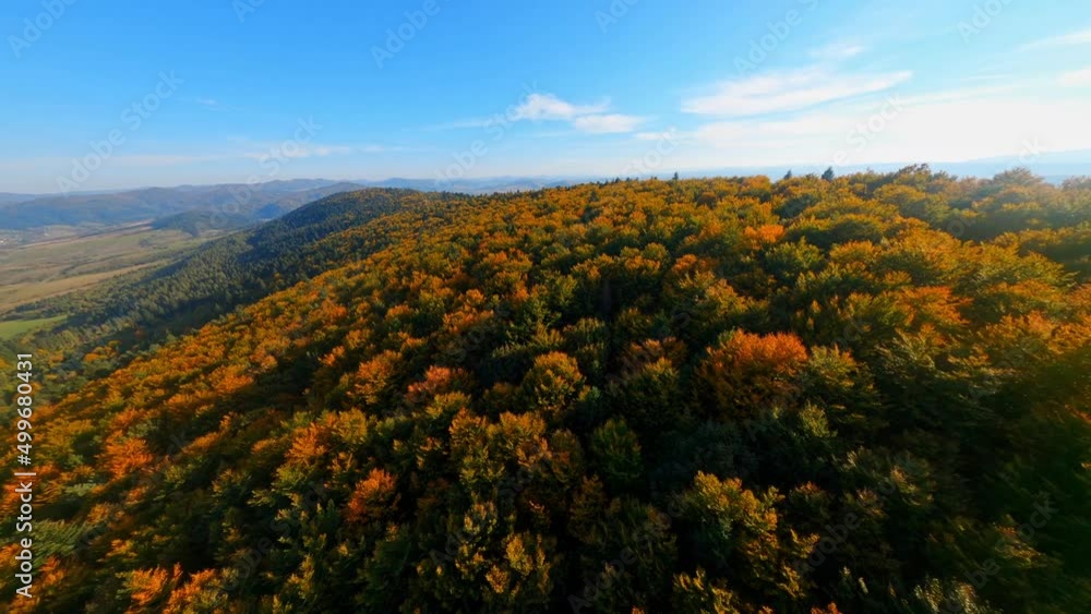 FPV drone of magnificent mystical forest on fall season. Aerial flight above colorful pine wood treetops landscape. Bright sunny day. Beautiful autumn. FPV drone of magnificent mystical forest on fall season. Aerial flight above colorful pine wood treetops landscape. Bright sunny day. Beautiful autumn.