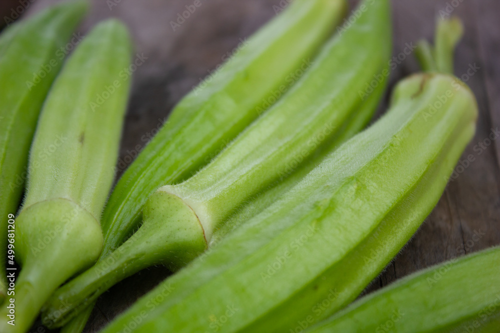 FRESH OKRA, Abelmoschus esculentus RECENTLY HARVESTED FROM AN ORGANIC GARDEN, ON A RUSTIC WOODEN TABLE WITH NATURAL LIGHTING FRESH OKRA, Abelmoschus esculentus RECENTLY HARVESTED FROM AN ORGANIC GARDEN, ON A RUSTIC WOODEN TABLE WITH NATURAL LIGHTING