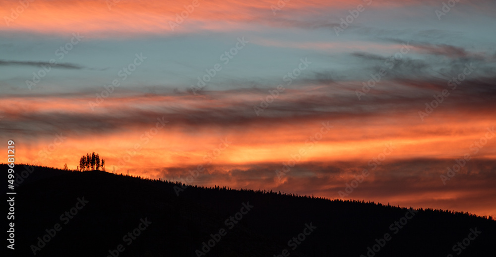 silhouette of trees on ridge at sunset silhouette of trees on ridge at sunset