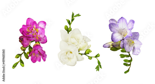Set of pink, white and purp...