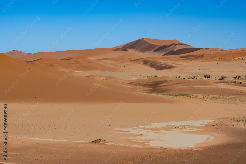 Namibia, the Namib desert, grass in the red dunes in background Namibia, the Namib desert, grass in the red dunes in background
