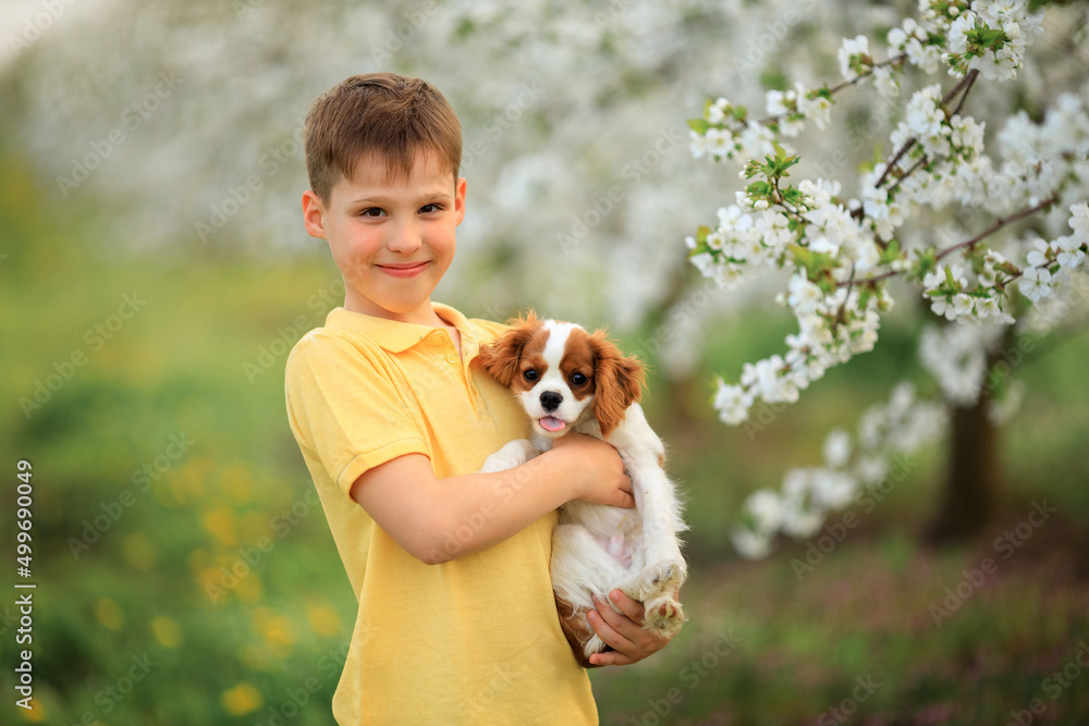 games with a pet on the street. boy walking and having fun with his spaniel puppy games with a pet on the street. boy walking and having fun with his spaniel puppy