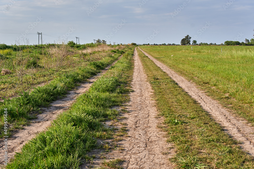 Rural Dirt Road Through Grassland in Argentina. horizontal Rural Dirt Road Through Grassland in Argentina. horizontal
