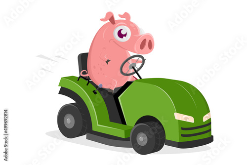 funny illustration of a cartoon pig with lawn mower tractor