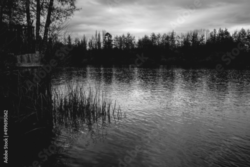 Beautiful lake with reflections and forest silhouette with amazing cloudy sky, Jungla Valdiviana, Valdivia, Chile (in black and white) photo