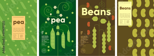 Pea. Beans. Set of vector illustrations. Label design, price tag, cover design. Backgrounds and patterns.