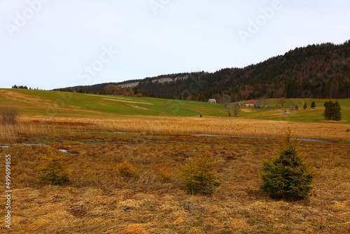 View on the park of the Rousses Lake in Les Rousses in the Jura department