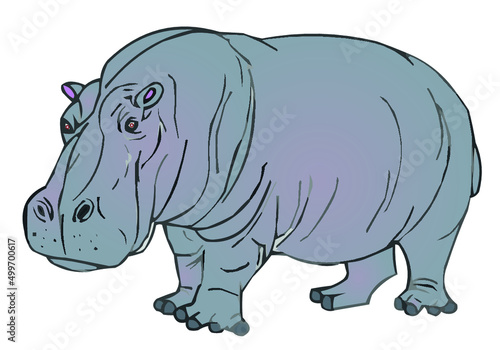 Ippopotamo