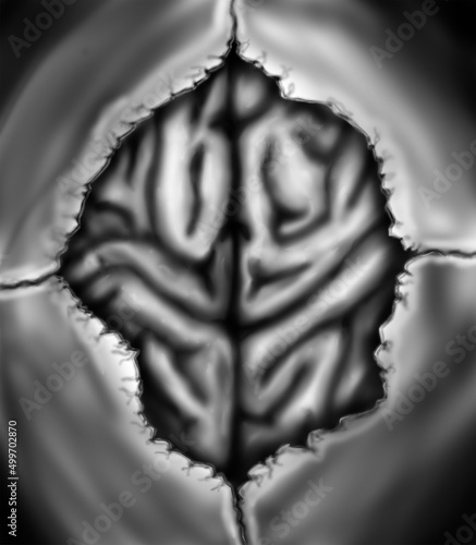 Open human skull with brain showing in black and white (ID: 499702870)