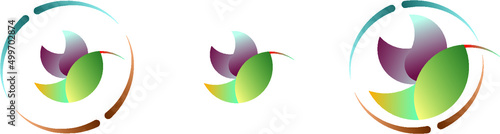 abstract hummingbird or bird illustration for icon or logo (ID: 499702874)