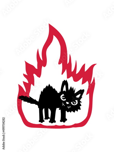 Flamme brennende Katze 