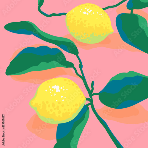 Fresh Lemons on a pink background