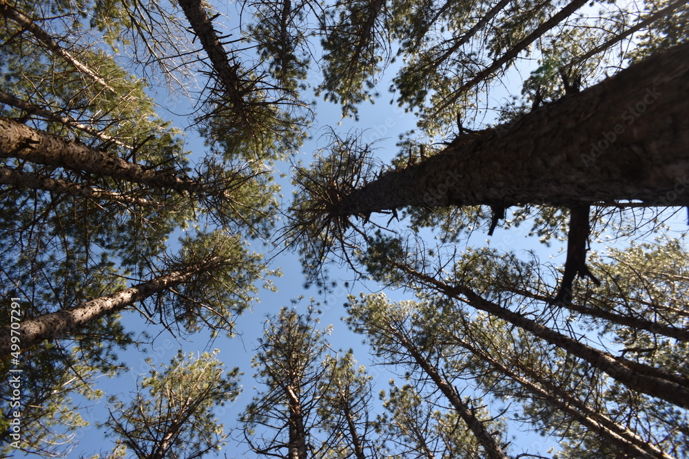 Obraz premium Mont Ham 16 Au 18 Avril 2022