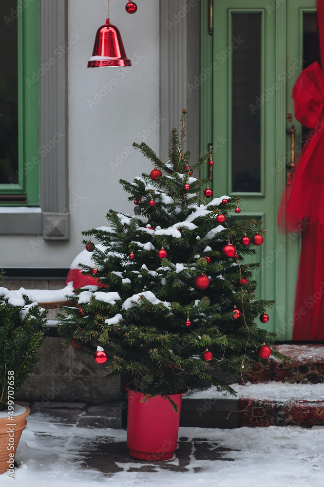 Green decorative Christmas tree stand in pot on the snow near a store with green doors in Lviv, Ukraine. Winter snow. New Year's Eve and Christmas.