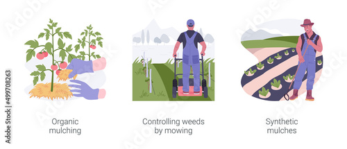 Weed management isolated cartoon vector illustrations set.