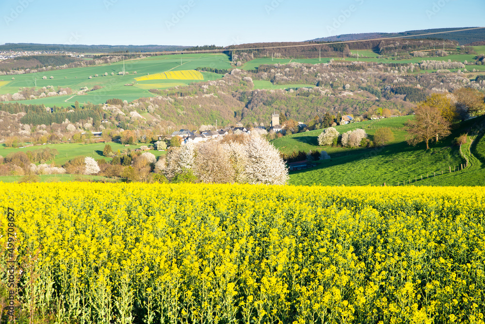 Landscape with yellow blooming raps field, agriculture in spring, countryside in Germany, cultivated farmland Landscape with yellow blooming raps field, agriculture in spring, countryside in Germany, cultivated farmland