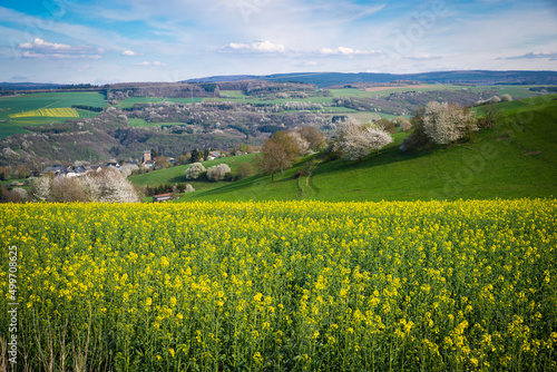 Landscape with yellow blooming raps field  agriculture in spring  countryside in Germany  cultivated farmland 