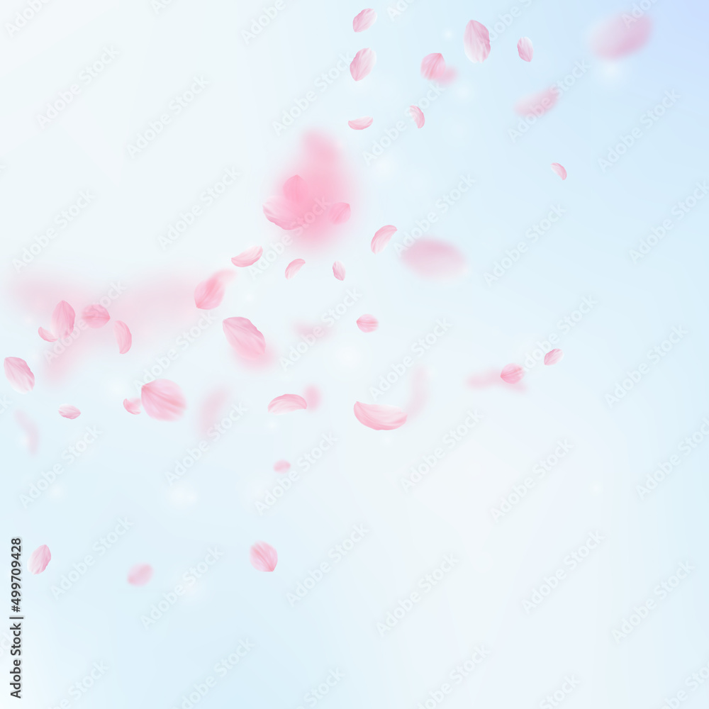 Sakura petals falling down. Romantic pink flowers corner. Flying petals on blue sky square background. Love, romance concept. Tempting wedding invitation.