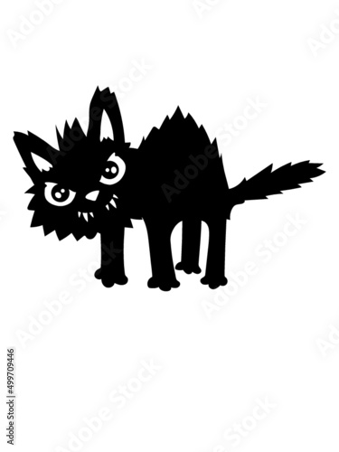 Böse lustige Katze 