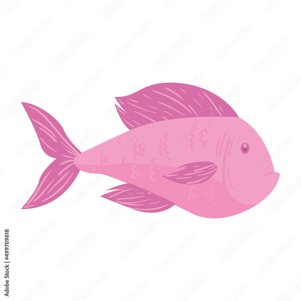 pink fish design pink fish design