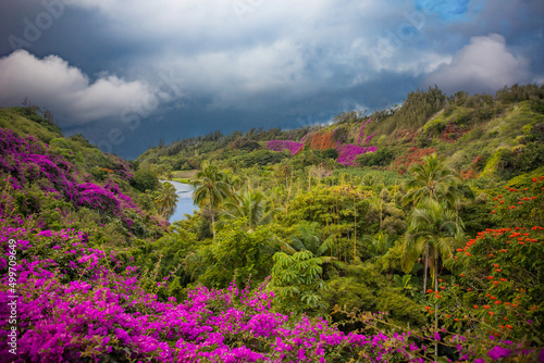 Botanical Gardens on the island of Kauai photo