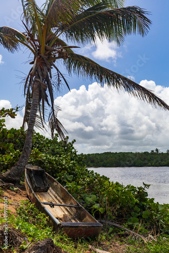 Flatbottom Shipwreck in the Tropics photo