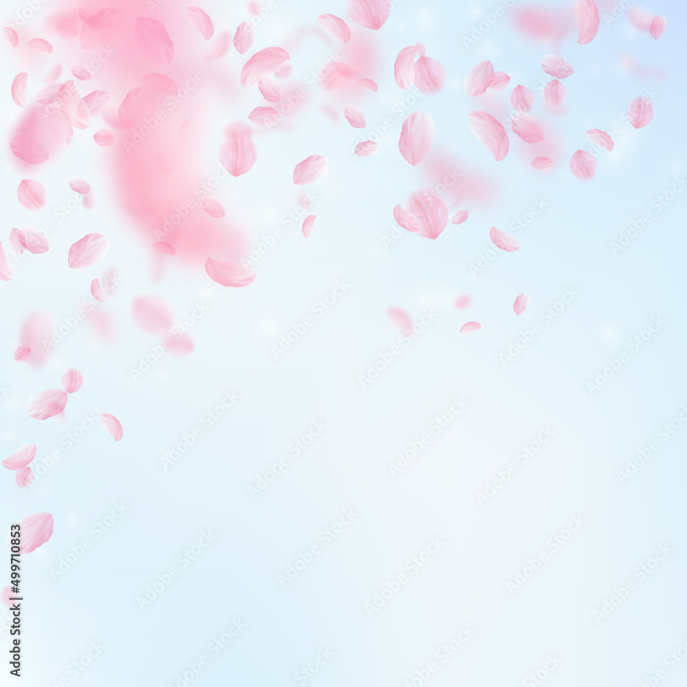 Sakura petals falling down. Romantic pink flowers falling rain. Flying petals on blue sky square background. Love, romance concept. Incredible wedding invitation.