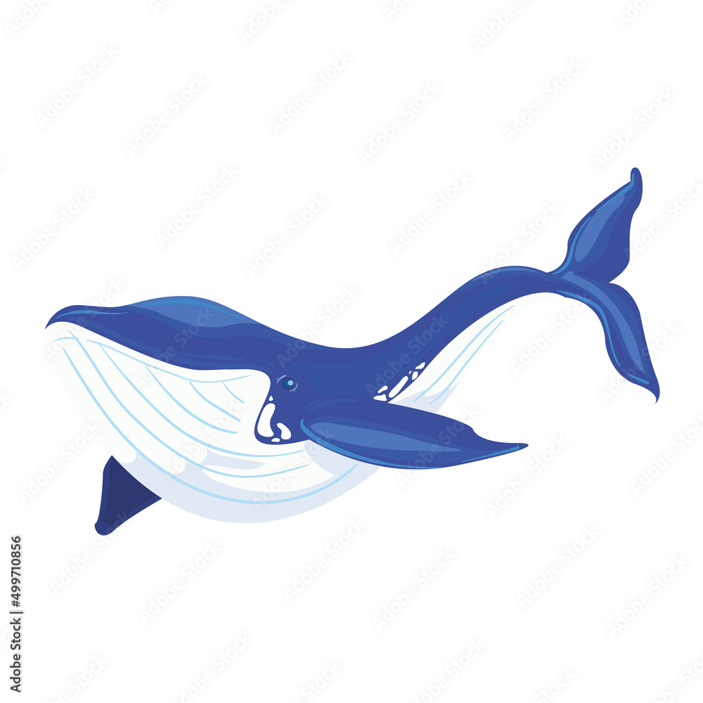 Obraz premium blue whale design