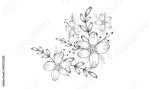Coloring page   minimal botanical floral elements vector illustration.