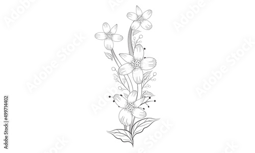 Coloring page   floral vintage sketch coloring page Set of different flower linen on white background.