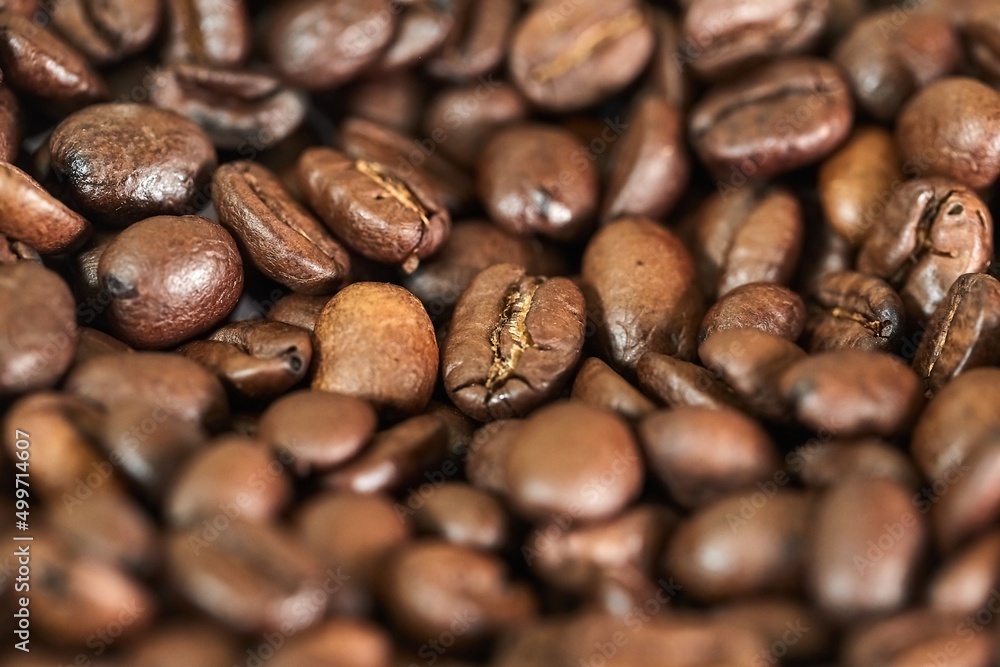 Roasted Coffee Beans Roasted Coffee Beans