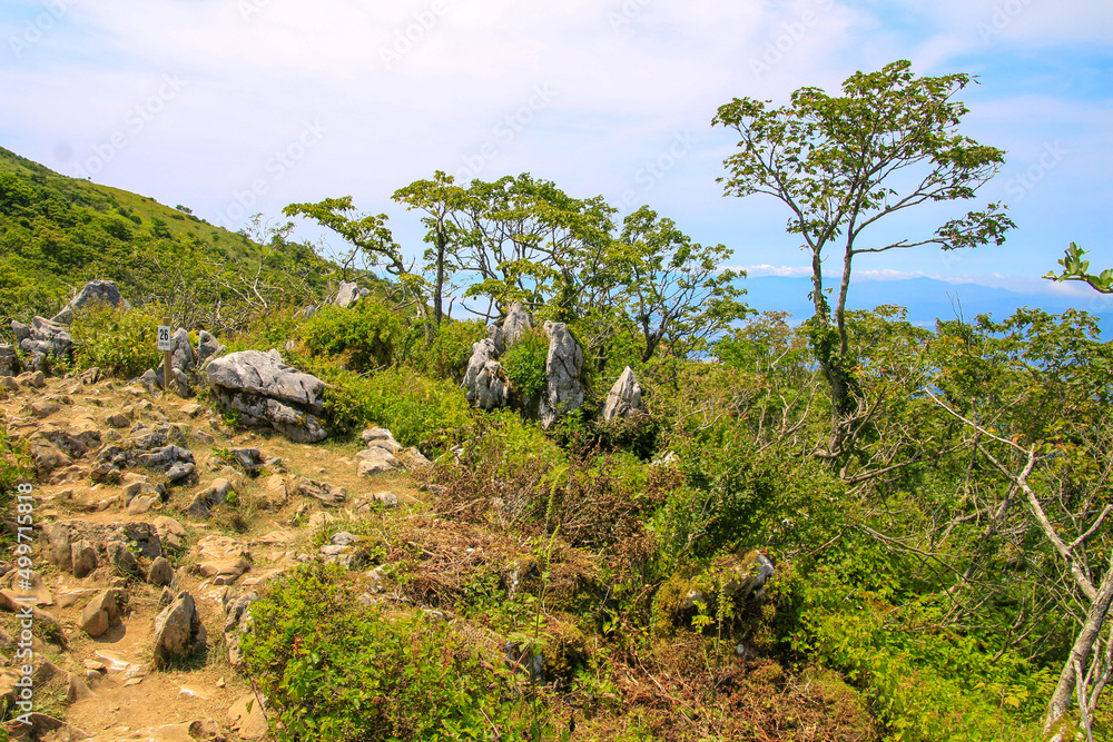 伊吹山 伊吹山