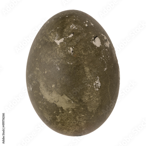 Brown egg isolated