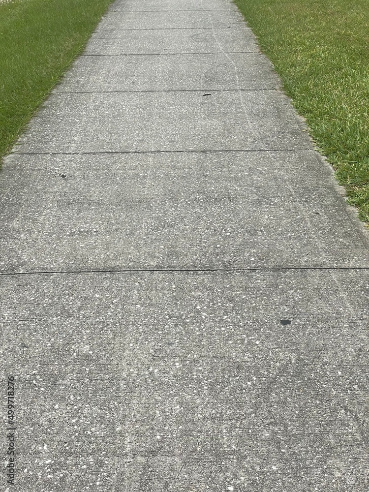 stone path in the park