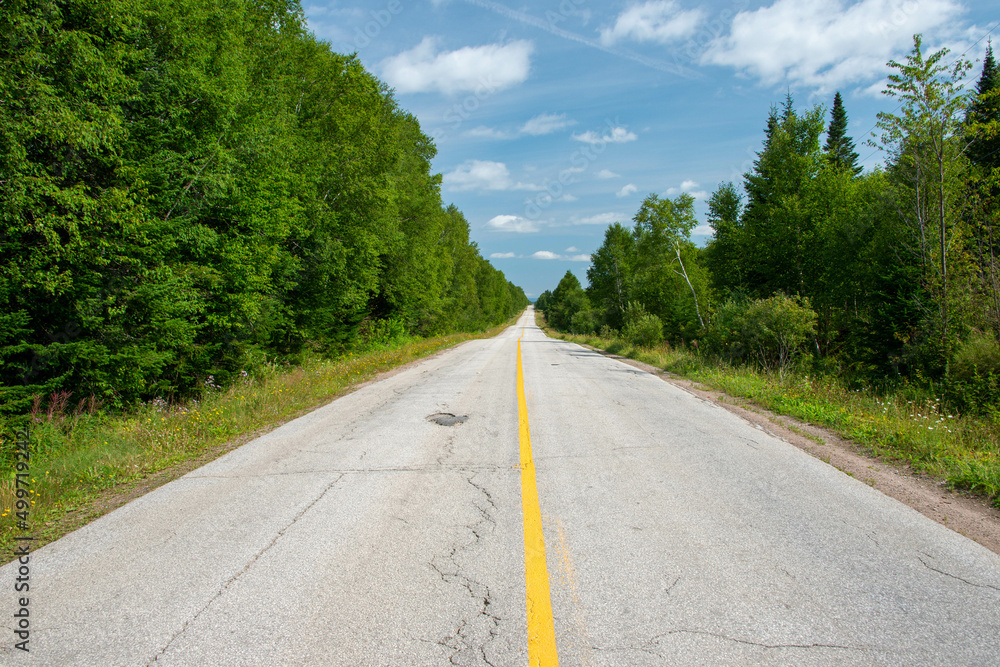 Fototapeta premium A long two lane country road with a single solid yellow centerline. The road has a couple of hills and valleys. The sides of the road have rich green trees enclosing the scene with a clear blue sky.