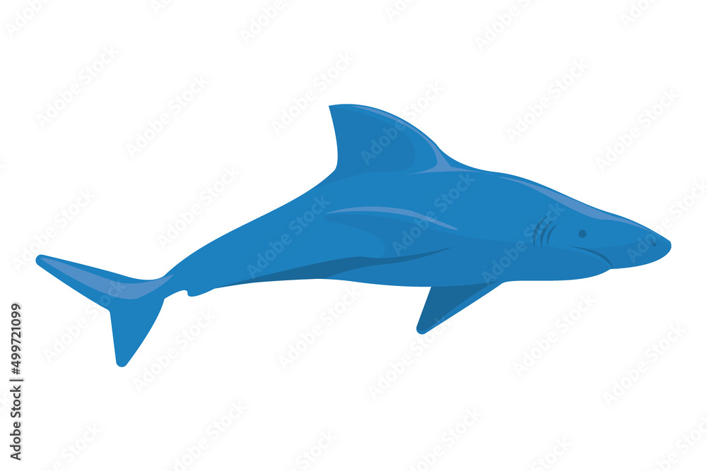 Obraz premium blue shark design