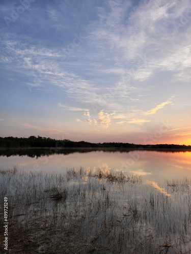 Sunrise cloudscape reflected in calm water of Nine Mile Pond in Everglades National Park  Florida in April.