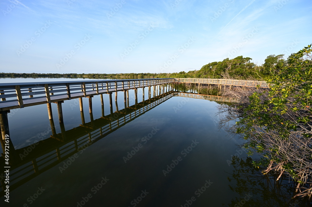 Boardwalk on West Lake in Everglades National Park, Florida recently reopened after extensive repairs following Hurricane Irma damage, at sunrise.