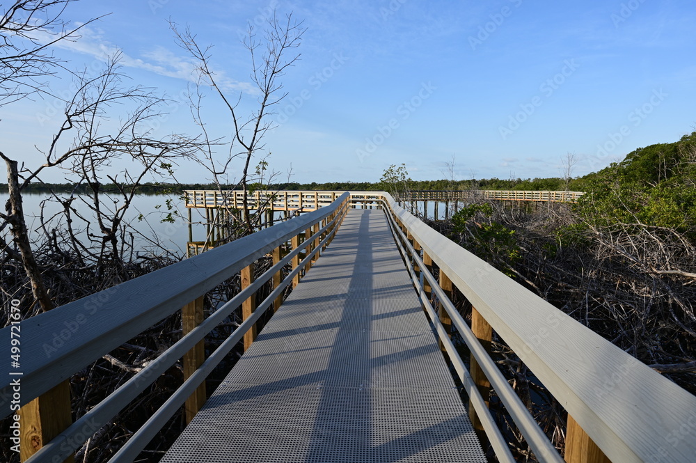 Boardwalk on West Lake in Everglades National Park, Florida recently reopened after extensive repairs following Hurricane Irma damage, at sunrise.