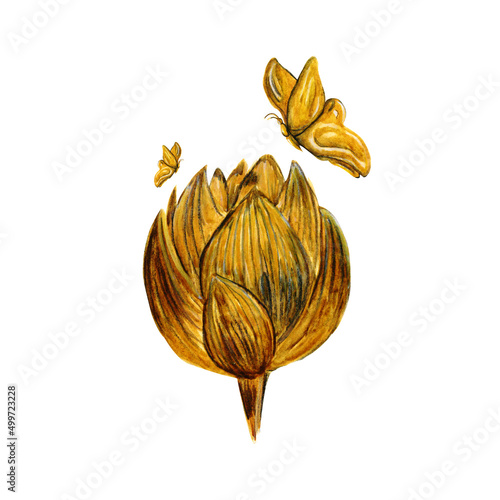 Golden watercolor peony flower and butterfly on white background illustration isolated
