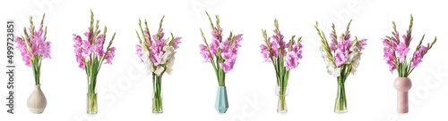 Set of vases with beautiful gladiolus flowers isolated on white