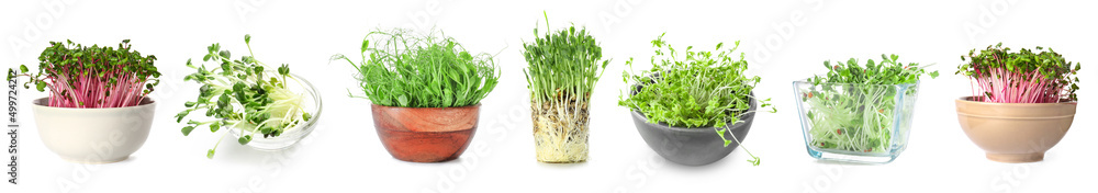 Assortment of healthy micro greens on white background Assortment of healthy micro greens on white background