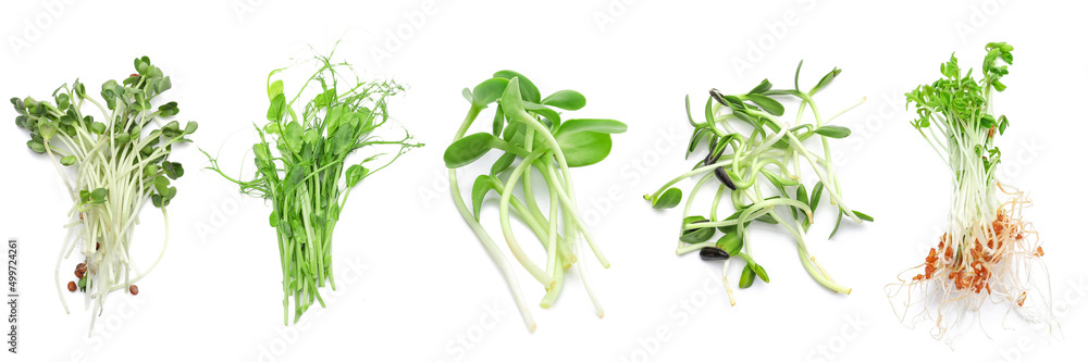 Assortment of healthy micro greens on white background, top view - obrazy, fototapety, plakaty 