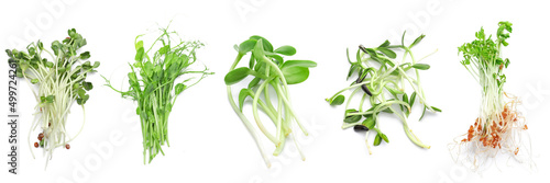 Assortment of healthy micro greens on white background, top view photo